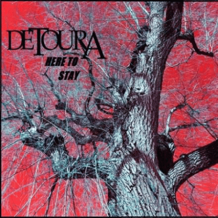 Detoura : Here to Stay